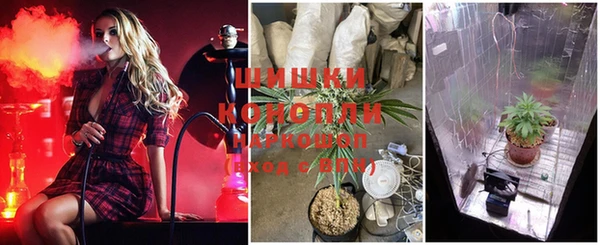 амф Кинешма