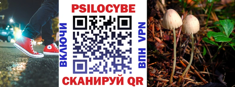 Галлюциногенные грибы GOLDEN TEACHER  Купить закладки  Аргун 