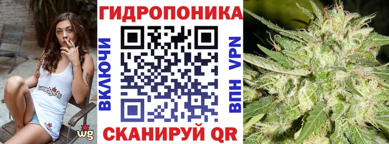 Каннабис Amnesia  Купить закладки  Аргун 